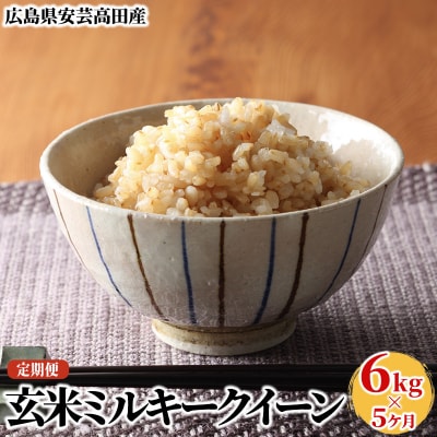 米 【5ヶ月お届け】令和5年 安芸高田市産ミルキークイーン『玄米』6kg[No5895-0264]