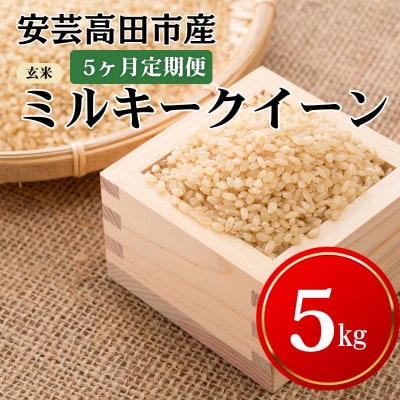 米 【5ヶ月お届け】令和7年産ミルキークイーン『玄米』5kg 定期便 [No5895-0264]