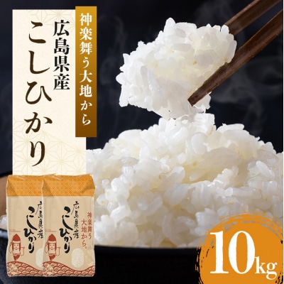 米 令和7年産 こしひかり 10kg(5kg×2) 広島県安芸高田市産  [No5895-0333]
