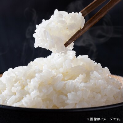 米 【定期便2ヶ月】令和5年 安芸高田市産 こしひかり 10kg[No5895-0334]