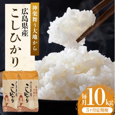 米 【定期便3ヶ月】令和5年 安芸高田市産 こしひかり 10kg[No5895-0335]