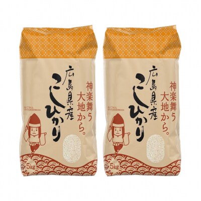 米 【定期便3ヶ月】令和5年 安芸高田市産 こしひかり 10kg[No5895-0335]