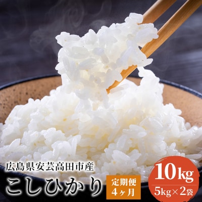 米 【定期便4ヶ月】令和5年 安芸高田市産 こしひかり 10kg[No5895-0336]