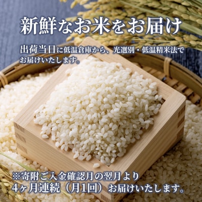 米 【定期便4ヶ月】令和5年 安芸高田市産 こしひかり 10kg[No5895-0336]