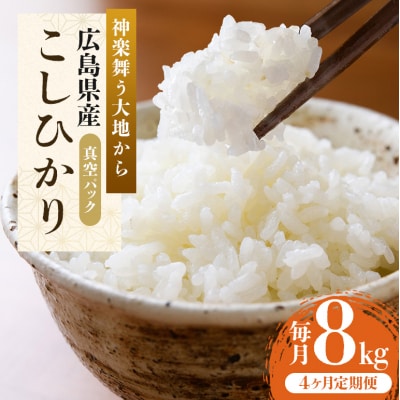米 【定期便4ヶ月】令和5年 安芸高田市産 こしひかり 真空パック 8kg[No5895-0348]