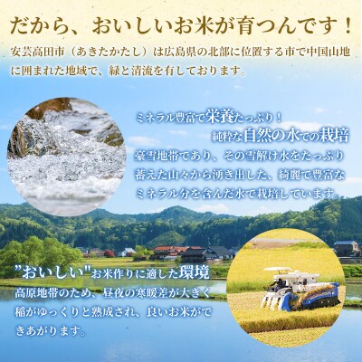 米 【定期便4ヶ月】令和5年 安芸高田市産 こしひかり 真空パック 8kg[No5895-0348]