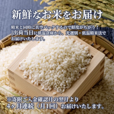 米 【定期便4ヶ月】令和5年 安芸高田市産 こしひかり 真空パック 8kg[No5895-0348]
