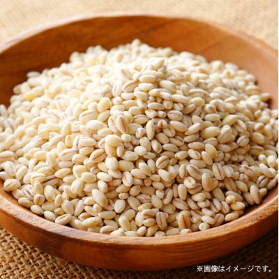 もち麦 国産 キラリモチ 特選もち麦 2.3kgセット 広島県安芸高田産 [No5895-0557]