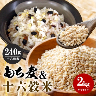 もち麦 国産 キラリモチ 特選もち麦 2kg + 十六穀米 240gセット[No5895-0558]