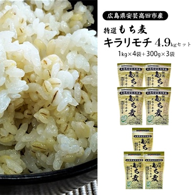 もち麦 国産 キラリモチ 特選もち麦 4.9kgセット 広島県安芸高田産[No5895-0559]