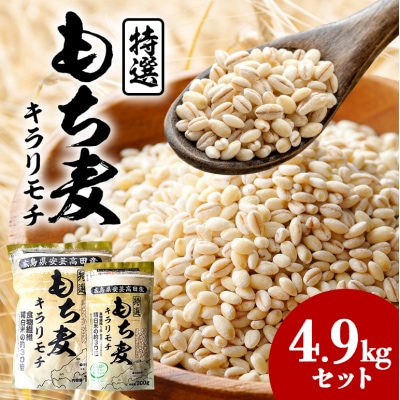 もち麦 国産 キラリモチ 特選もち麦 4.9kgセット 広島県安芸高田産[No5895-0559]