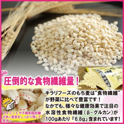 もち麦 国産 キラリモチ 特選もち麦 4.9kgセット 広島県安芸高田産[No5895-0559]