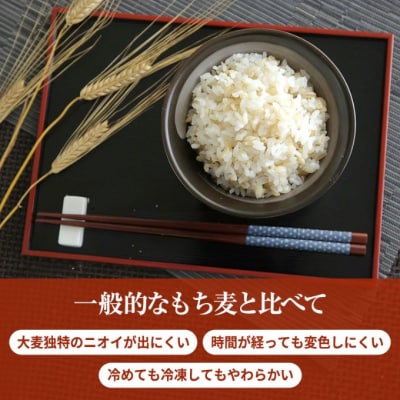 もち麦 国産 キラリモチ 特選もち麦 4.9kgセット 広島県安芸高田産[No5895-0559]