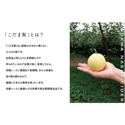 こだま梨サイダー 330ml×5本 【個数限定】[No5895-0498]