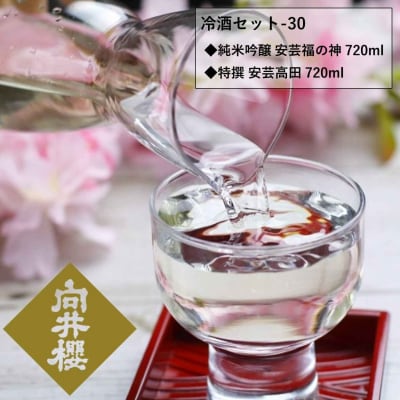 日本酒 冷酒セット-30 向井櫻 純米酒 向井櫻 蔵出し原酒 2本セット[No5895-0494]