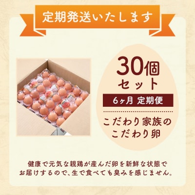 卵 こだわり家族のこだわり卵 30個 セット 6ヶ月 定期便[No5895-0628]
