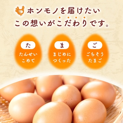 卵 こだわり家族のこだわり卵 30個 セット 12ヶ月 定期便[No5895-0629]