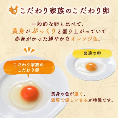卵 こだわり家族のこだわり卵 30個 セット 12ヶ月 定期便[No5895-0629]