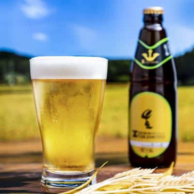 ホワイトビール 『TAKAMOTO』 6本セット[No5895-0349]