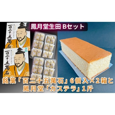 鳳月堂生田 銘菓「百二十五萬石」と鳳月堂「カステラ」 【Bセット】[No5895-0432]