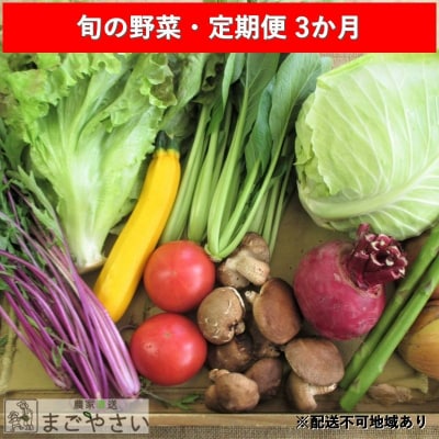 旬の野菜・定期便(3か月)[No5895-0456]