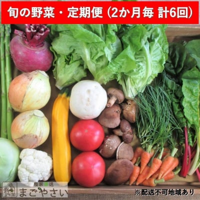 旬の野菜・定期便(12か月)【2ヶ月毎に6回お届け】[No5895-0496]