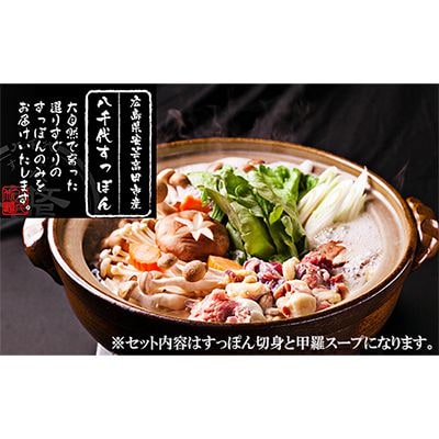 八千代すっぽん鍋セット(2～3人前×3セット)[No5895-0428]