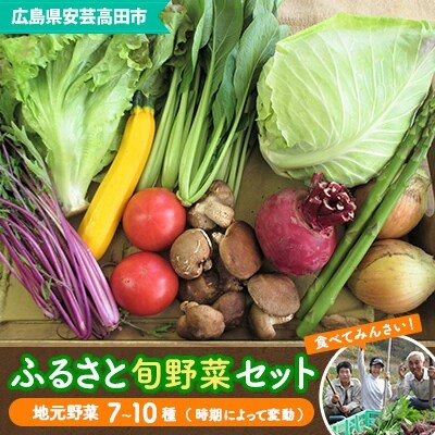 安芸高田市の小さな農家お届けするふるさと旬野菜セット[No5895-0194]