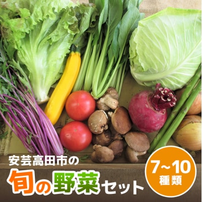 安芸高田市の小さな農家お届けするふるさと旬野菜セット[No5895-0194]