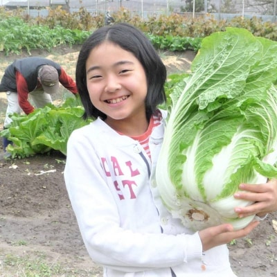 安芸高田市の小さな農家お届けするふるさと旬野菜セット[No5895-0194]