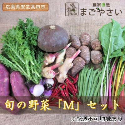 旬の野菜【M】セット[No5895-0459]