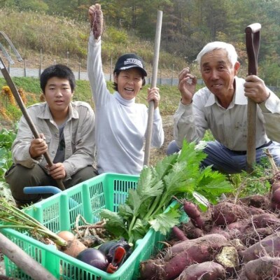 旬の野菜【M】セット[No5895-0459]