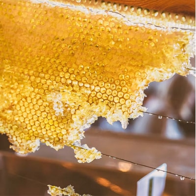 はちみつ 安芸高田はちみつ 120g×2本セット ハチミツ 蜂蜜[No5895-0617]
