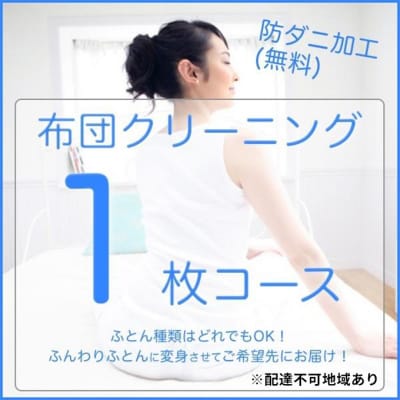 ふとんクリーニング 1枚 (なんでもOK)[No5895-0590]