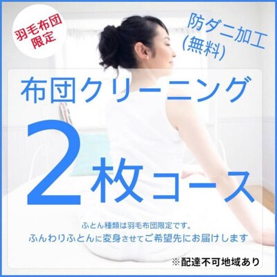 ふとんクリーニング 2枚 (羽毛限定)[No5895-0591]