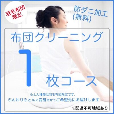 ふとんクリーニング 1枚 (羽毛限定)[No5895-0589]