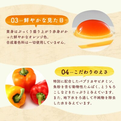 卵 こだわり家族のこだわり卵 60個セット 広島 安芸高田市 たまご 鶏卵[No5895-0601]