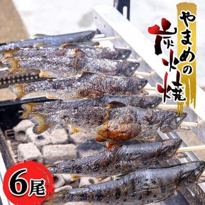 安芸高田 滝ヶ谷 やまめの炭火焼(6尾入り)[No5895-0624]