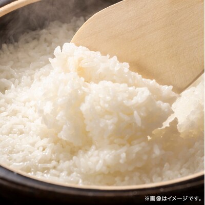 米 令和7年産 ミルキークイーン 10kg (5kg×2袋)[No5895-0331]