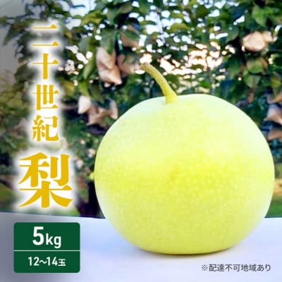 梨 2025年 先行受付 二十世紀梨 5kg 12～14玉[No5895-0688]