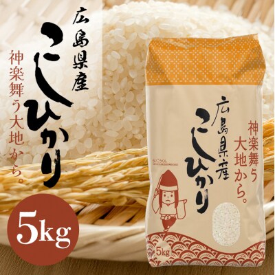 米 令和7年産 こしひかり 5kg 2025年 広島県安芸高田市産 白米[No5895-0819]