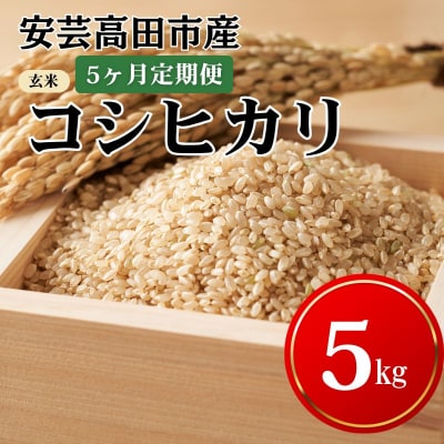 米 【5ヶ月お届け】令和7年産コシヒカリ『玄米』5kg お米 定期便 [No5895-0257]