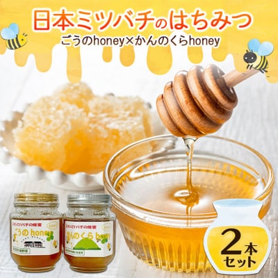 日本ミツバチのはちみつ ごうのhoney×かんのくらhoney 2本セット[No5895-0825]