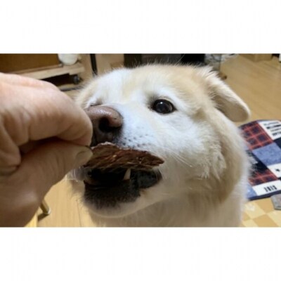 鹿の内臓ジャーキー4点セット 犬 犬用 おやつ 鹿肉 内臓 ジャーキー[No5895-0844]