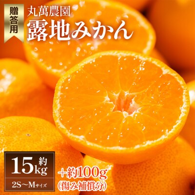 【2025年出荷分】露地みかん(2S～Mサイズ) 15kg 贈答用 丸萬農園 mn-0003