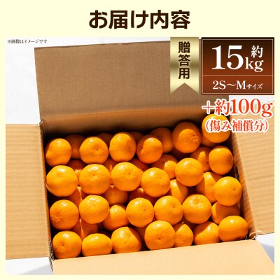 【2025年出荷分】露地みかん(2S～Mサイズ) 15kg 贈答用 丸萬農園 mn-0003