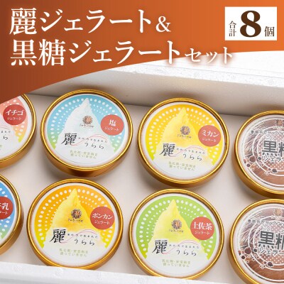 【ジェラート】麗ジェラートと黒糖ジェラート 8個セット dc-0038