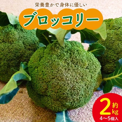 ブロッコリー 約2kg 栄養豊かで身体に優しいブロッコリー 4～5個入り sy-0010