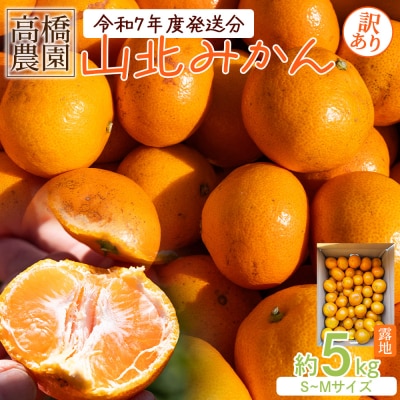 みかん 5kg 小玉 訳あり 高橋農園 山北みかん 露地(S～M)B品 th-0019