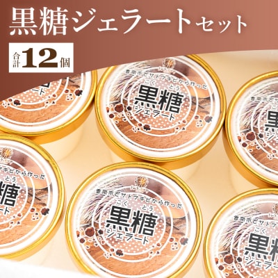 【黒糖】ジェラート 昔ながらの製法で作る黒糖を使った 黒糖ジェラート 12個セット dc-0036